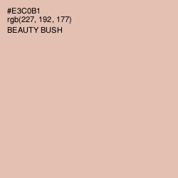 #E3C0B1 - Beauty Bush Color Image
